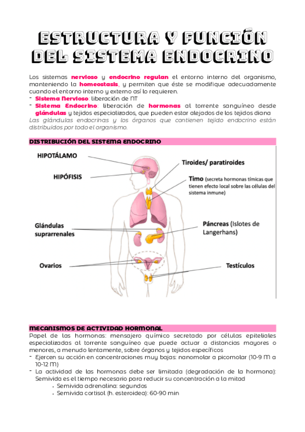 Miniatura del documento TEMA-5.pdf