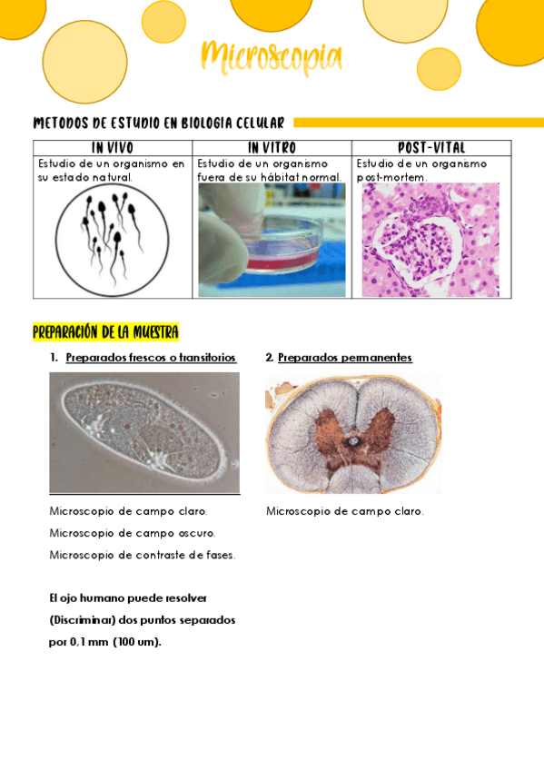 Miniatura del documento MICROSCOPIA.pdf