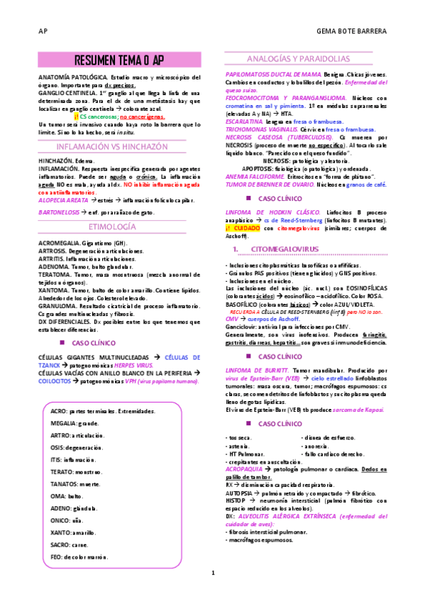 Miniatura del documento RESUMEN-TEMA-0-AP.pdf