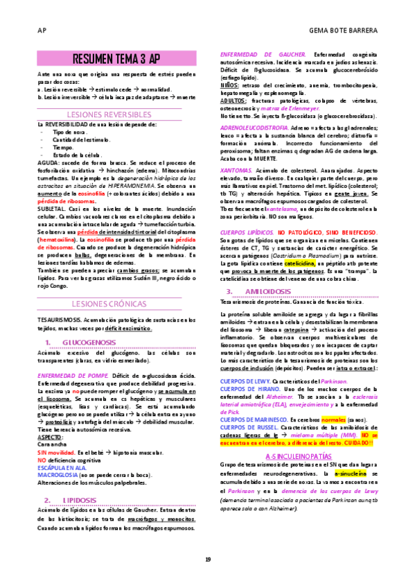 Miniatura del documento RESUMEN-TEMA-3-AP.pdf