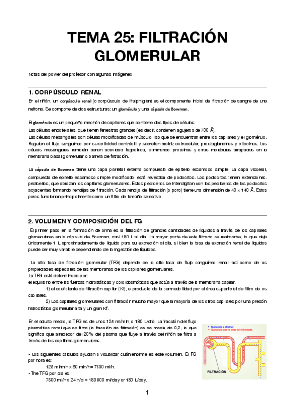 Miniatura del documento Tema-25-Filtracion-glomerular.pdf