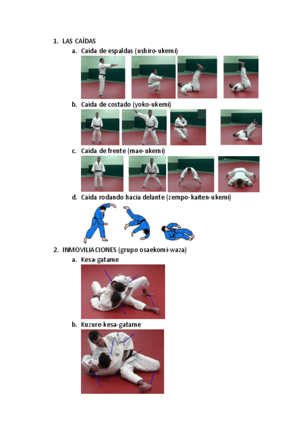 Miniatura del documento CONTENIDO-PRACTICO-JUDO-2o.pdf