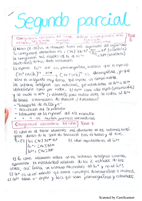 Miniatura del documento final qbi.pdf
