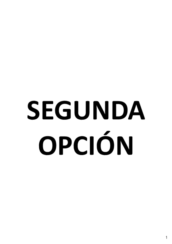 Miniatura del documento ONC-T11-RAND-VERSION-2.pdf