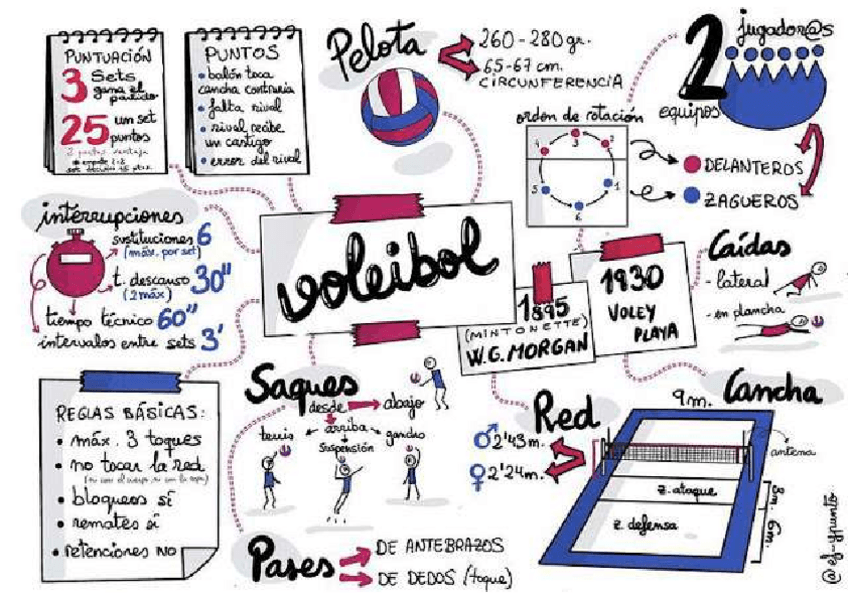 Miniatura del documento infografia-voleibol.pdf
