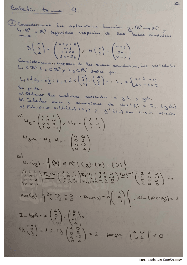 Miniatura del documento Boletin-tema-4.pdf
