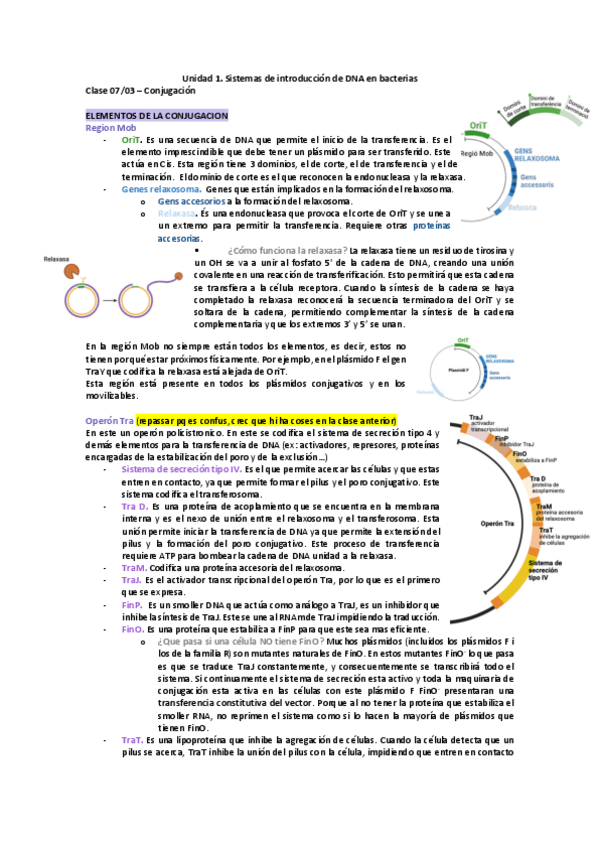 Miniatura del documento Apunts-classe-7323-Tema1.pdf