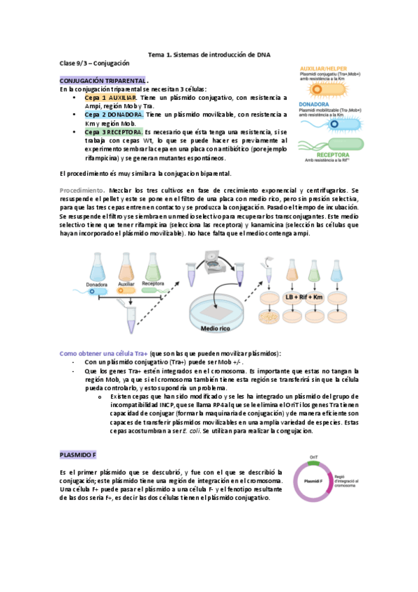 Miniatura del documento Apunts-classe-9323-Tema1.pdf