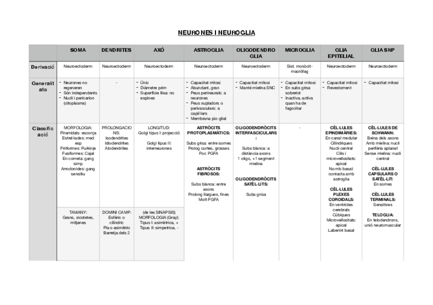 Miniatura del documento taula-neuro-histologia.pdf