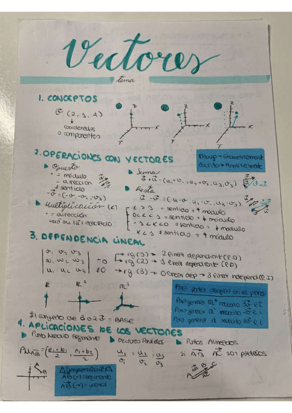 Miniatura del documento VECTORES.pdf