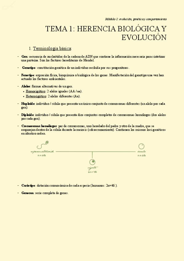 Miniatura del documento TEMA-1.-herencia-genetica-y-evolucion.pdf