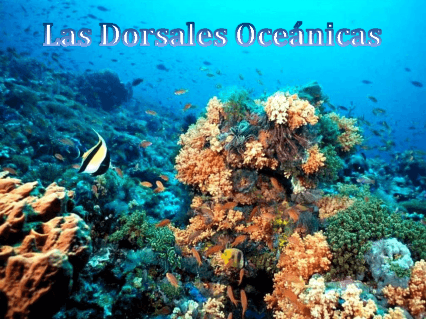 Miniatura del documento CMC-Dorsales-oceanicas.pdf