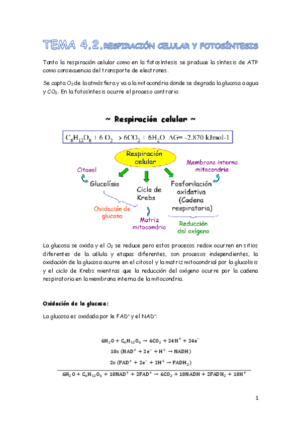Miniatura del documento TEMA 4.2.pdf