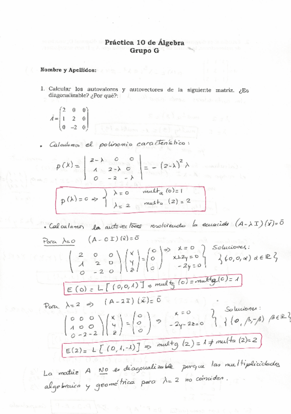 Miniatura del documento Practica-10-Diagonalizacion-RESUELTA.pdf