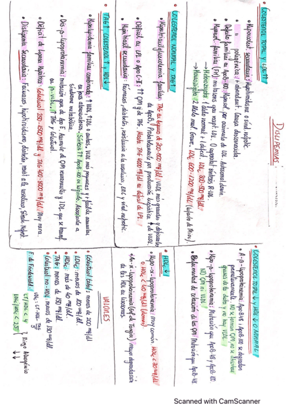 Miniatura del documento Cuadro-Resumen-Dislipemias.pdf