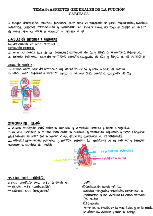 Miniatura del documento Tema-9.-Aspectos-generales-de-la-funcion-cardiaca.pdf