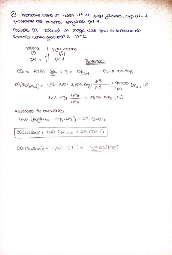 Miniatura del documento Taller 3 Resuelto.pdf