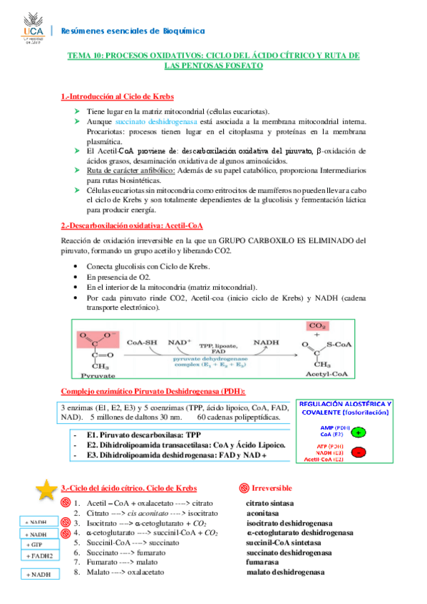 Miniatura del documento RESUMEN BIOQUÍMICA T10.pdf