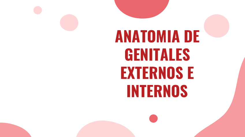 Miniatura del documento ANATOMIA-DE-GENITALES-EXTERNOS-E-INTERNOS-1.pdf