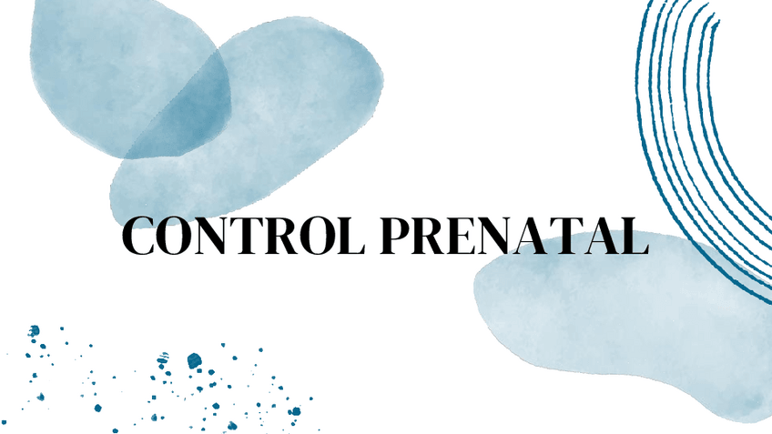 Miniatura del documento Control-prenatal.pdf