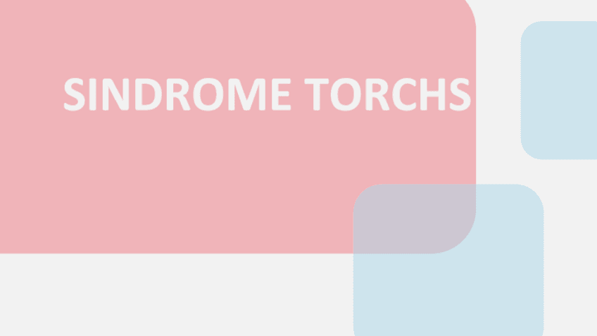 Miniatura del documento TORCH.pdf