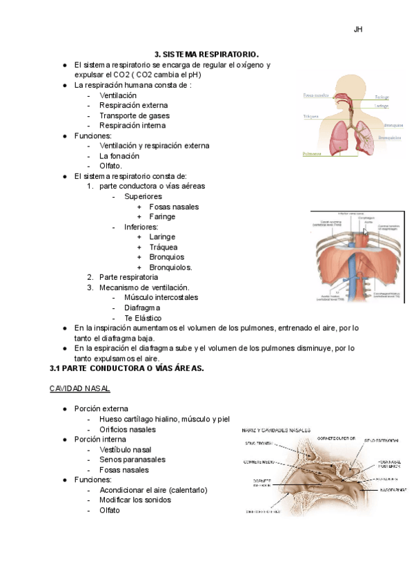 Miniatura del documento SISTEMA-RESPIRATORIO.pdf