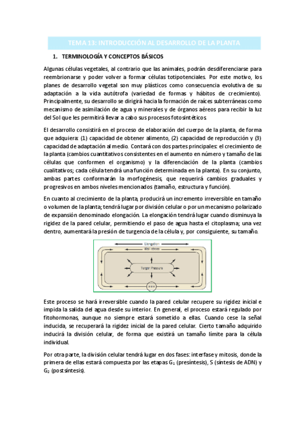 Miniatura del documento TEMA-13.pdf