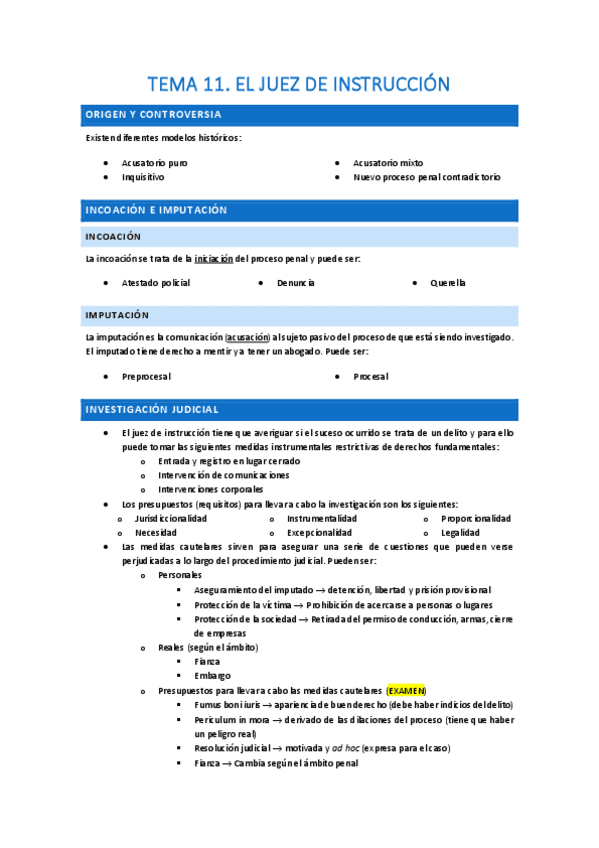 Miniatura del documento T11-El-juez-de-instruccion.pdf