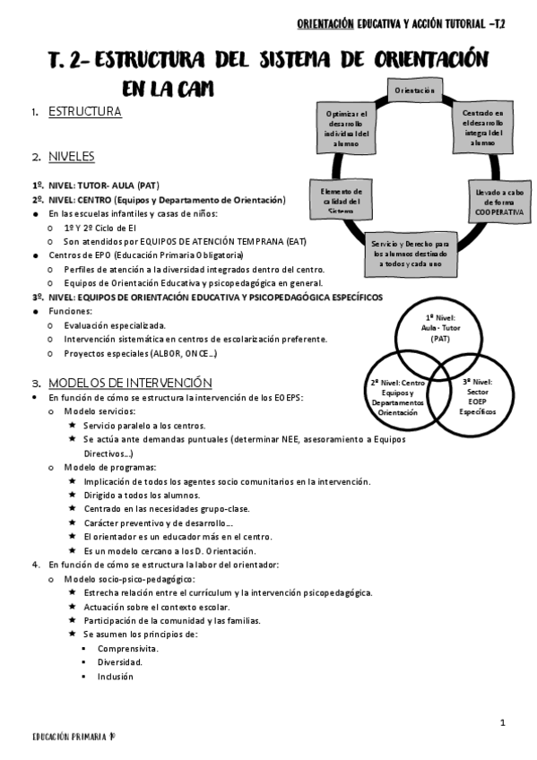 Miniatura del documento T2.-estructura-del-sistema-de-orientacion-en-la-CAM.pdf