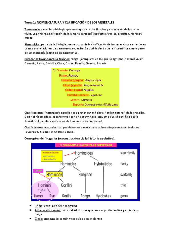 Miniatura del documento Tema 1.pdf