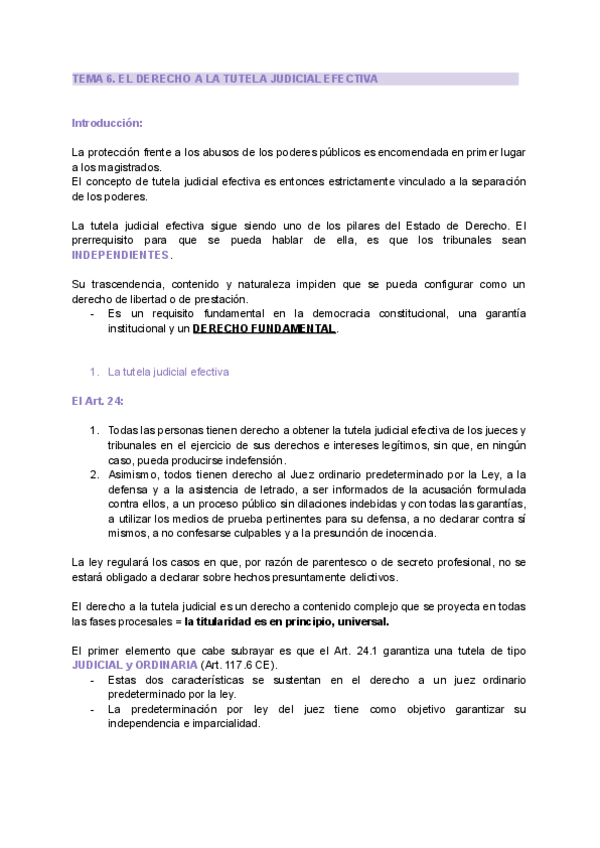 Miniatura del documento TEMA-6.-Tutela-judicial-efectiva.pdf