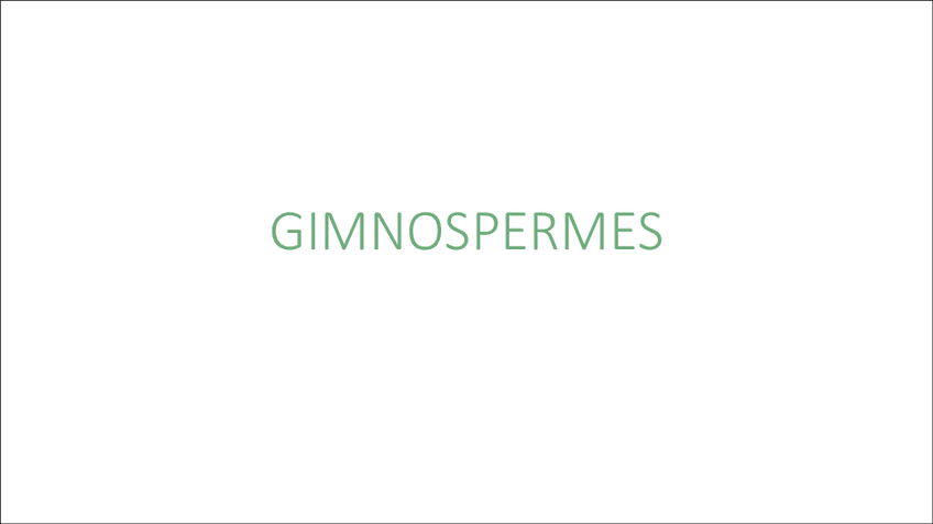 Miniatura del documento GIMNOSPERMES-generalitats.pdf