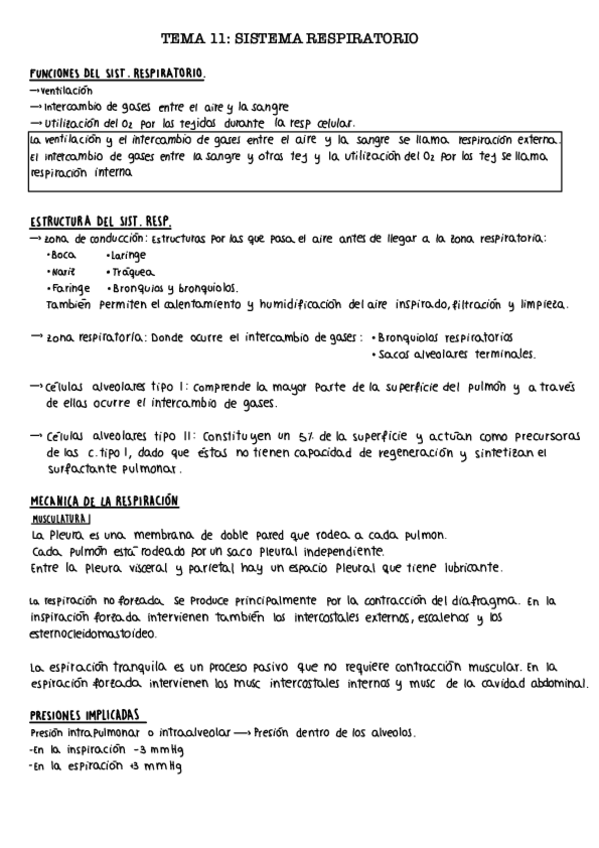 Miniatura del documento Tema-11.-Sistema-respiratorio.pdf