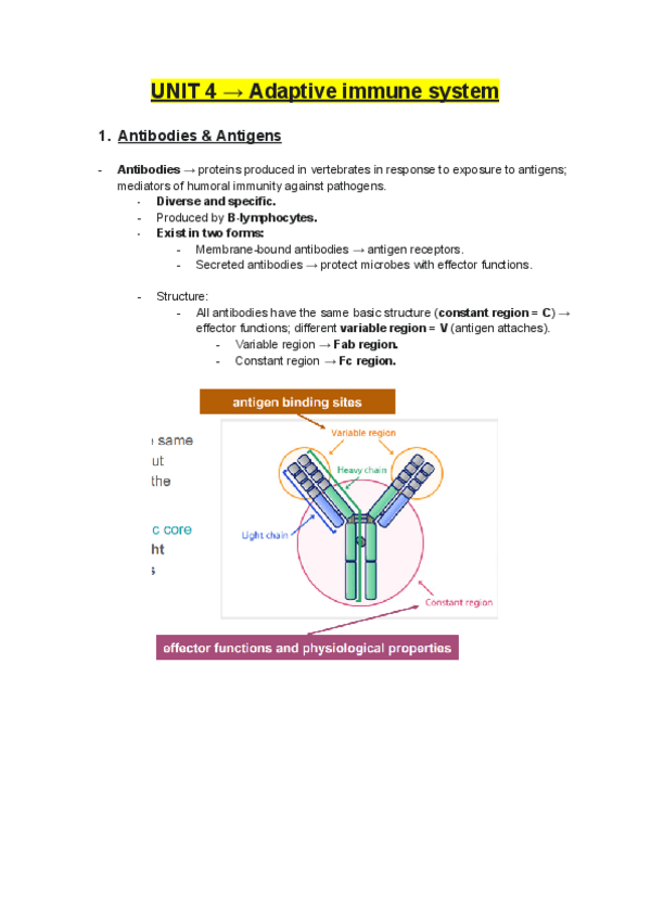 Miniatura del documento UNIT 4-ADAPTIVE IMMUNE SYSTEM.pdf
