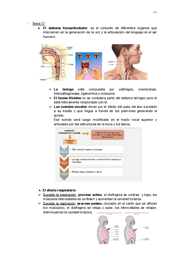 Miniatura del documento Apuntes-Temas-17-25.pdf