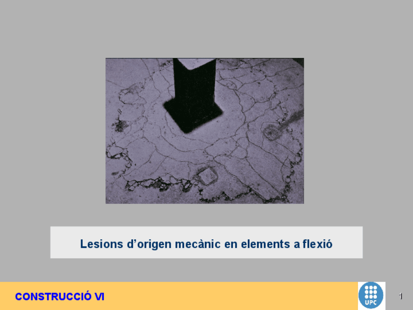 Miniatura del documento 11Lesions-dorigen-mecanic-en-elements-a-flexio.pdf