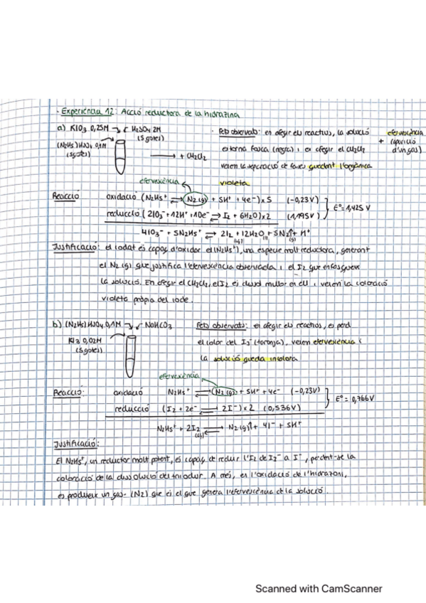 Miniatura del documento Experiencia-12-19.pdf