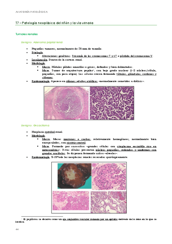 Miniatura del documento APE. T7-11. Cristina.pdf