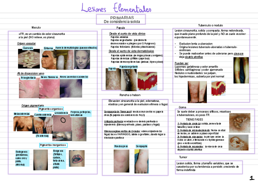 Miniatura del documento Derma-Resumenes-Parte-1-Al-17.pdf
