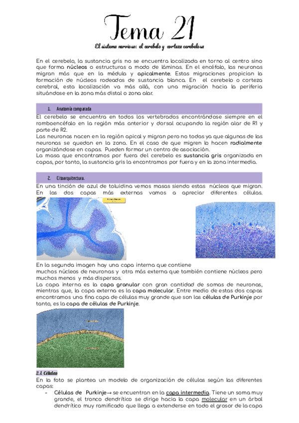 Miniatura del documento Tema-21.pdf