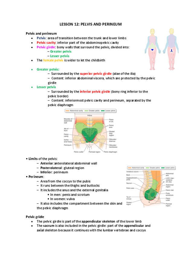 Miniatura del documento Lesson-12.pdf
