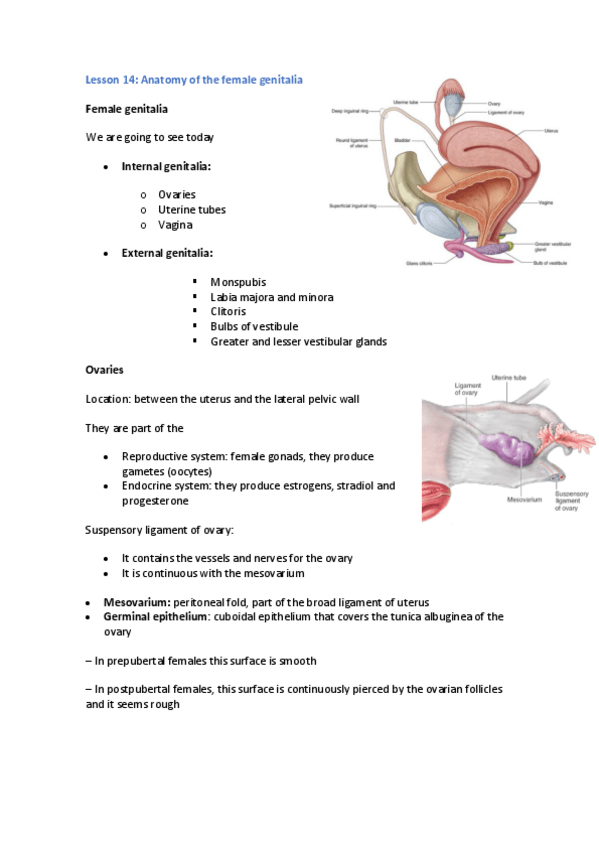 Miniatura del documento Lesson-14.pdf