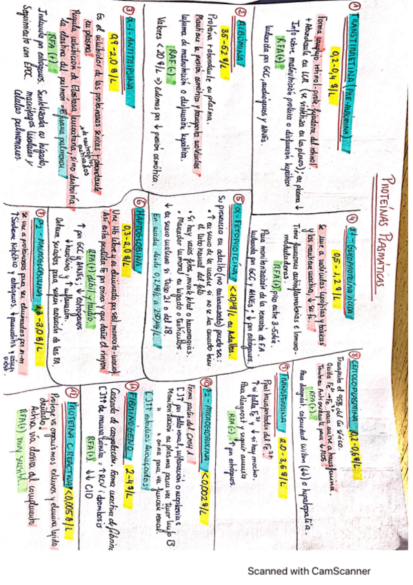 Miniatura del documento Cuadro-resumen-Proteinas.pdf
