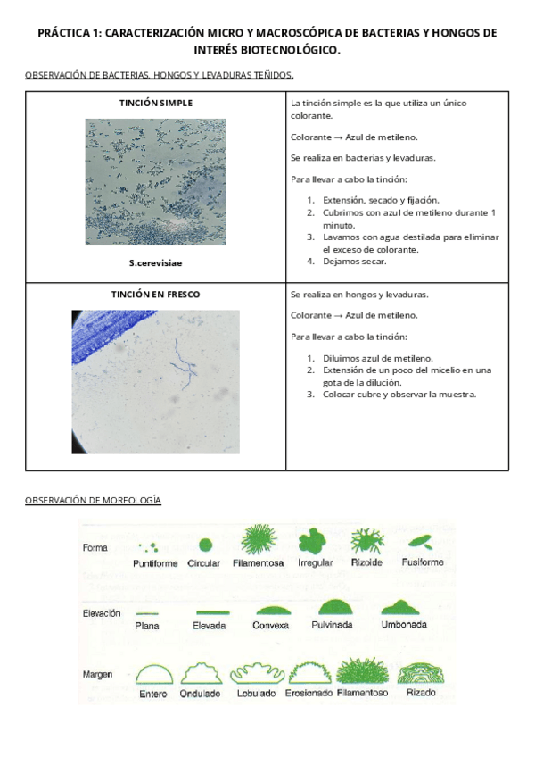 Miniatura del documento EXAMEN-DE-PRACTICAS-BIOTECNOLOGIA-MICROBIANA.pdf