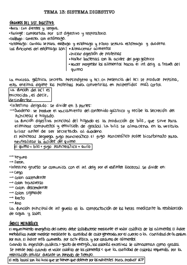 Miniatura del documento Tema-13.-Sistema-digestivo.pdf