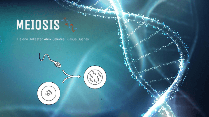 Miniatura del documento MEIOSIS.pdf