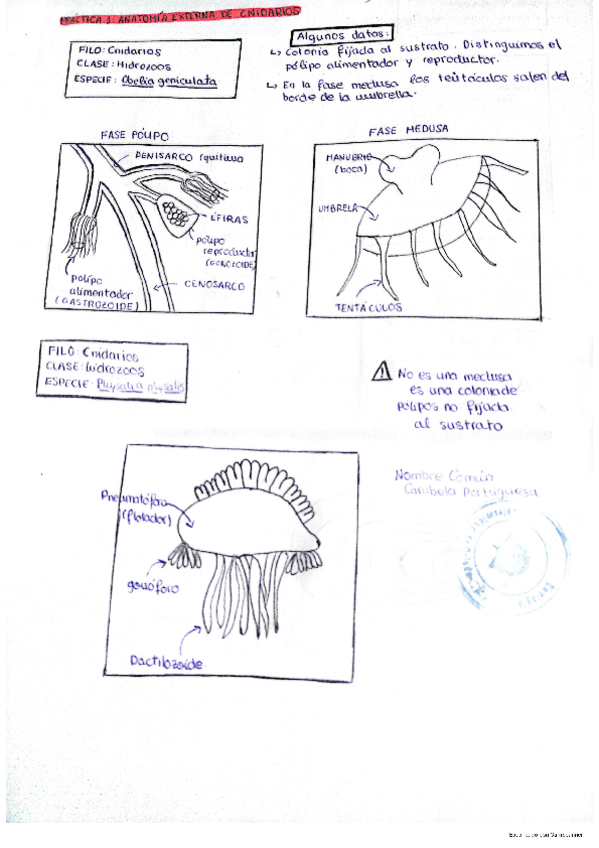 Miniatura del documento cuaderno-practicas-zoo.pdf