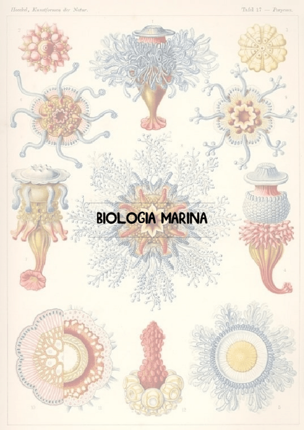 Miniatura del documento T1Adaptaciones-y-Habitat-Intermareal.pdf