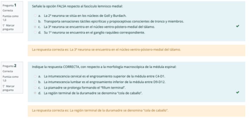 Miniatura del documento 2021-2Q-ORDINARIO-NEUROANATOMIA.pdf