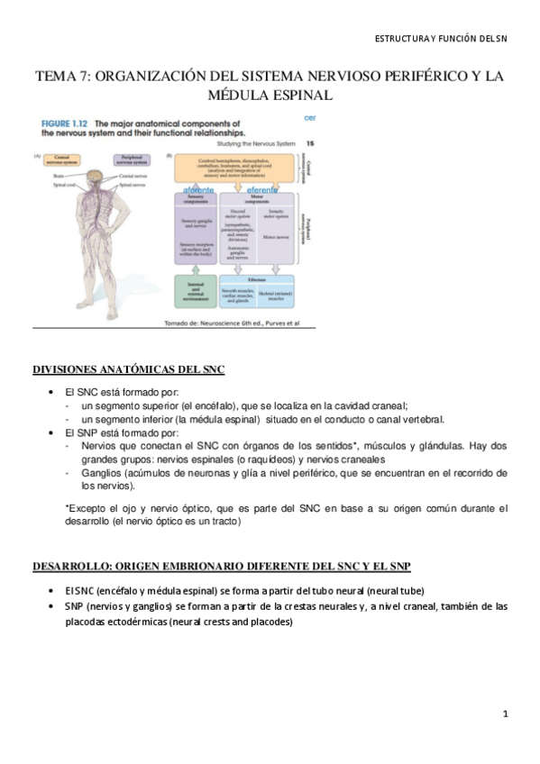 Miniatura del documento bloque-3-efsn-t7-y-8.pdf